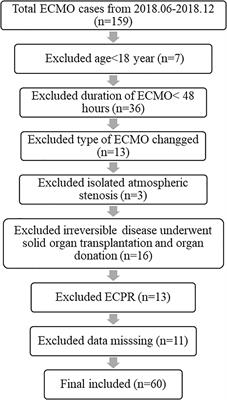 Serum Total Bilirubin With Hospital Survival in Adults During Extracorporeal Membrane Oxygenation